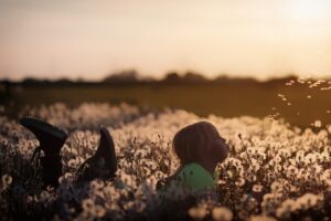 Kind liegt in einer Wiese voller Pusteblumen und pustet auf eine Blume